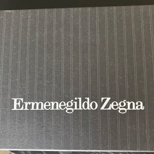 Ermenegildo Zegna Black Shoes